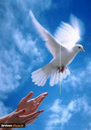 ایرانیان آزادی مبارک