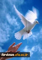 ایرانیان آزادی مبارک