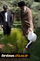 روز درخت کاری