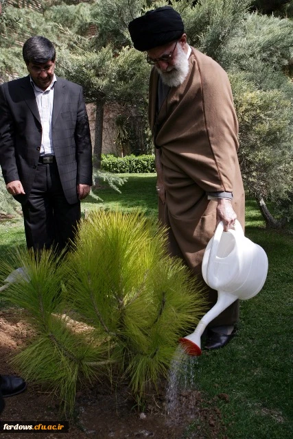 روز درخت کاری