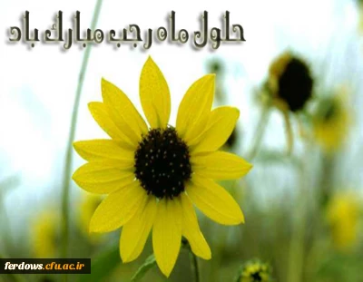 حلول ماه مبارک  رجب، ماه مناجات و بندگی و ماه خانه تکانی دل ها،
بر مشتاقان کوی دوست مبارک باد