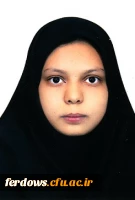 خانم عاطفه محمدی  - رشته نقد وبررسی کتاب