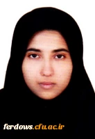 خانم مهناز سیفی  - رشته پویا نمایی