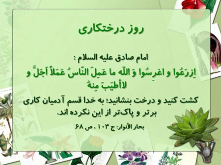 روز درختکاری گرامی باد