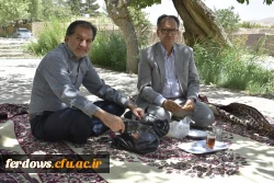 دور همی همکاران در باغستان