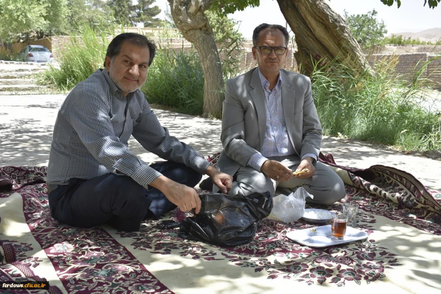 دور همی همکاران در باغستان