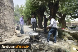 دور همی همکاران در باغستان