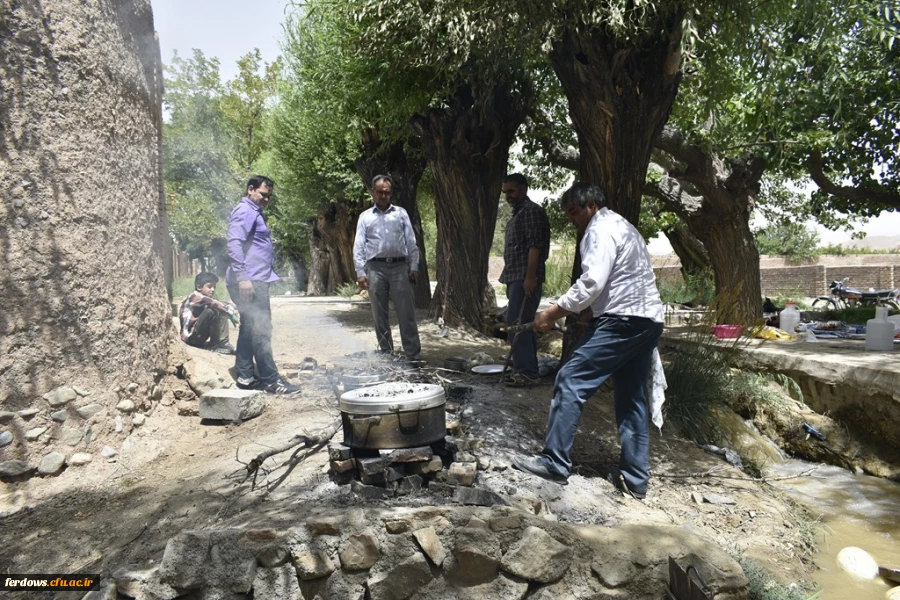 دور همی همکاران در باغستان