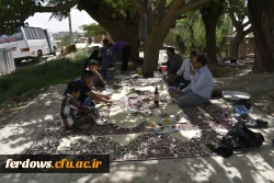 دور همی همکاران در باغستان