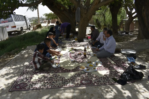 دور همی همکاران در باغستان