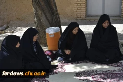 دور همی همکاران در باغستان