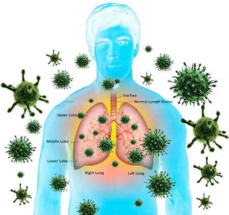 دستور العمل های پیشگیری و مقابله با ویروس کرونا جهت اطلاع رسانی و بالا بردن سطح آگاهی عمومی 19