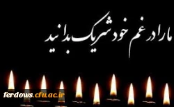 پیام تسلیت  2