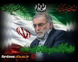  ترور شهید محسن فخری زاده، رییس سازمان پژوهش و نوآوریهای دفاعی وزارت دفاع و پشتیبانی نیروهای مسلح 5