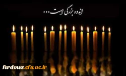 دومین سالگرد استاد عارف و دانشمند معظم دکتر غلامرضا مدبر عزیزی - یادش گرامی و راهش پر رهرو باد . 7