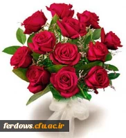 سالروز تاسیس مرکز تربیت معلم بنت الهدی صدر فردوس   در سال 66    گرامی باد. 2