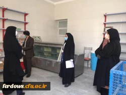 برگزاری کارگروه ارتقا سلامت دانشجویان با حضور کارشناسان شبکه بهداشت ودرمان شهرستان فردوس  3