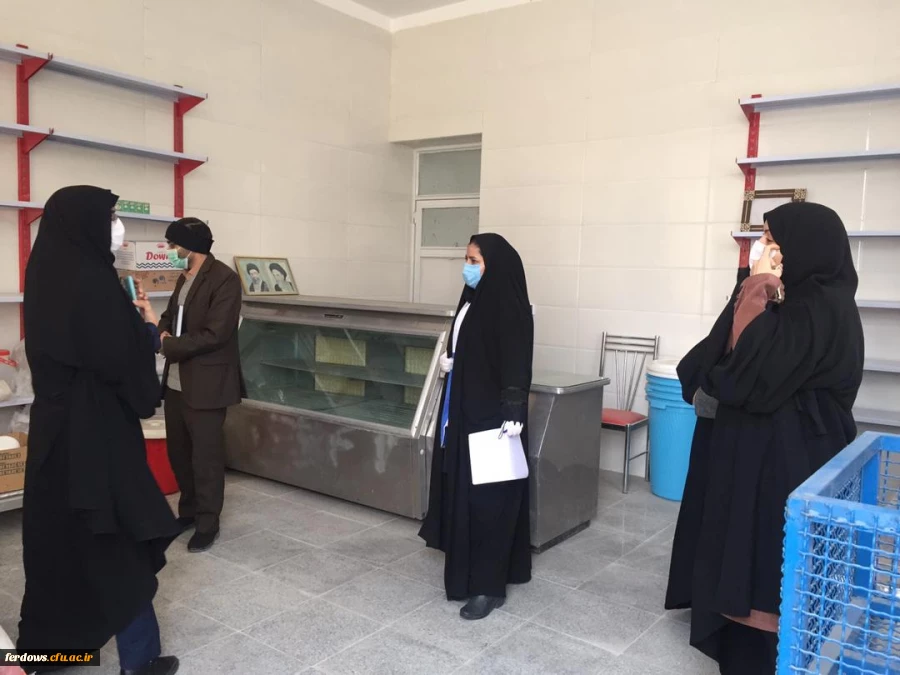 برگزاری کارگروه ارتقا سلامت دانشجویان با حضور کارشناسان شبکه بهداشت ودرمان شهرستان فردوس  3