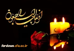 پیام تسلیت به مناسبت درگذشت استاد محترم ذبیح الله سلیمی 3