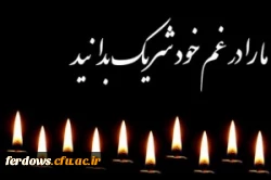 تسلیت درگذشت خاله همکار گرامی سرکار خانم مجنونی 2