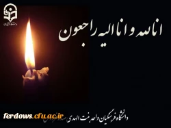 پیام تسلیت درگذشت جانباز سرافراز هشت سال دفاع مقدس و پزشک حاذق؛ دکتر «حاج محمد حسین باوقار» 2