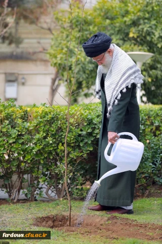 کاشتن نهال امر مهمّی است؛ هم برای محیط زیست مهم است، هم برای اقتصاد کشور مهم است. 